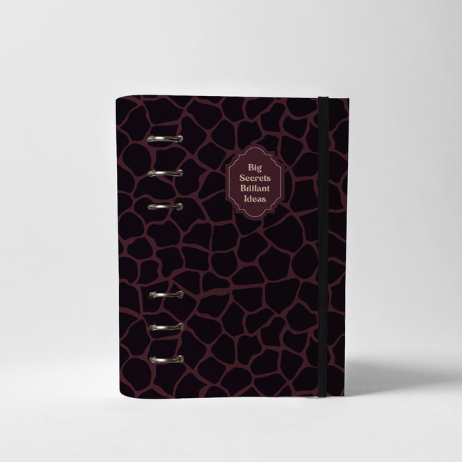 EcoPlan Personal - Big Secrets