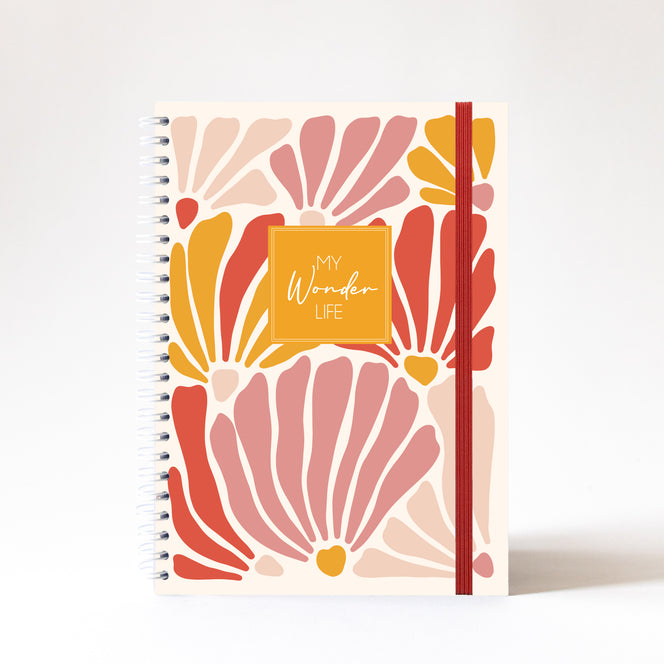 My Wonder Life - Coquillage