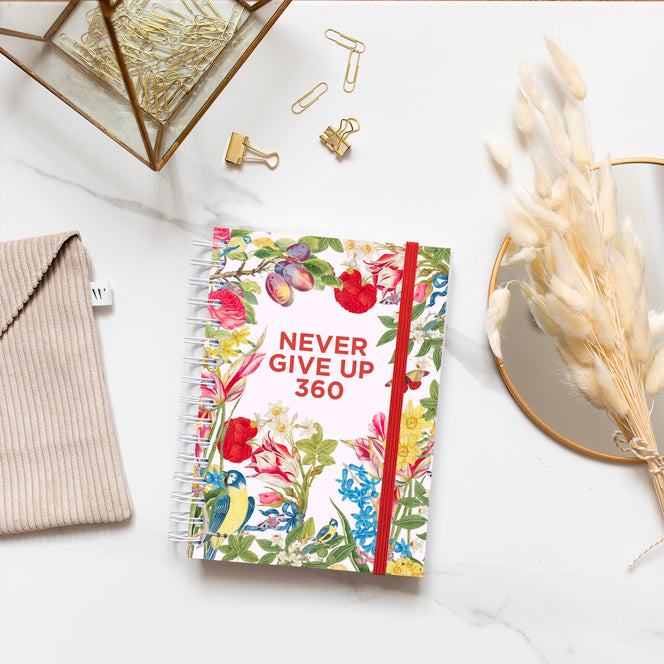 Never Give Up 360 - Harmony