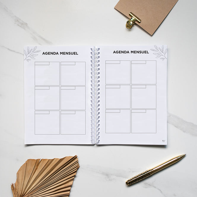 My Wonder Life - Coquillage