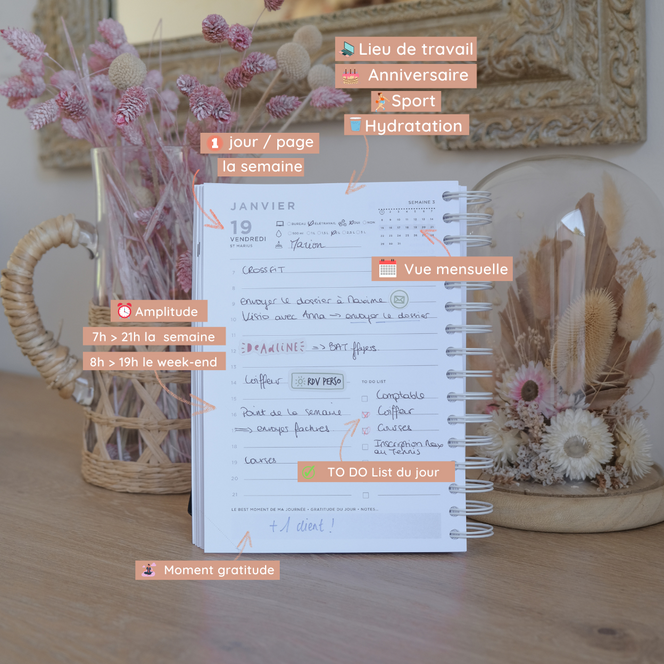 Never Give Up 360 - Pink Garden