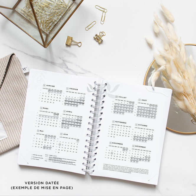 Never Give Up 360 - Golden Bird