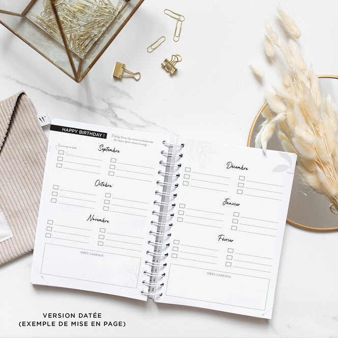 Never Give Up 360 - Golden Bird