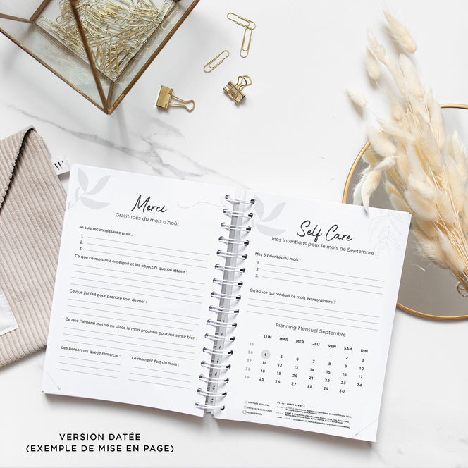 Never Give Up 360 - Golden Bird