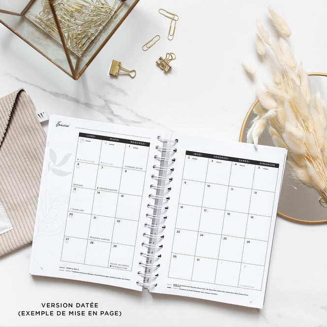 Never Give Up 360 - Golden Bird