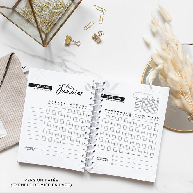 Never Give Up 360 - Golden Bird