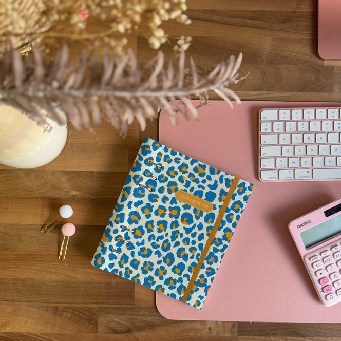 EcoPlan Now or Never