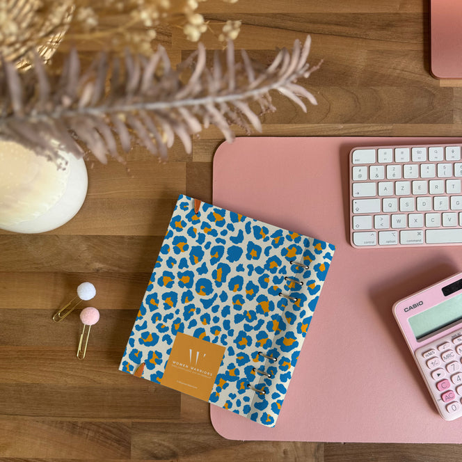 EcoPlan Now or Never