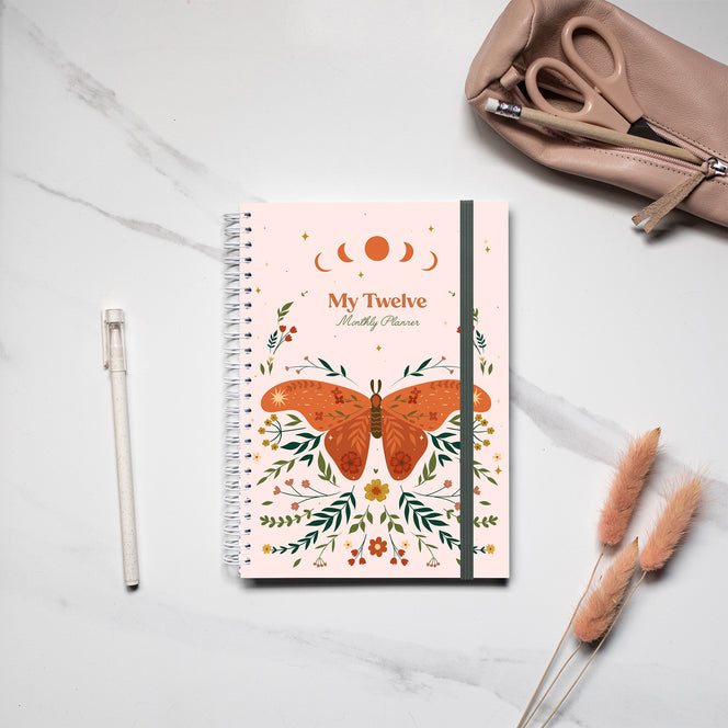 My Twelve - Papillon