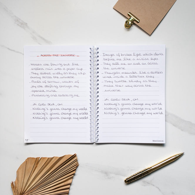 Carnet de notes - Résilience Purple Rain
