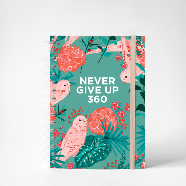 Never Give Up 360 - Melody